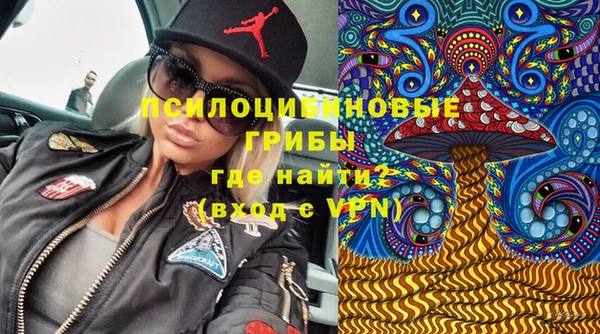 apvp Алексин