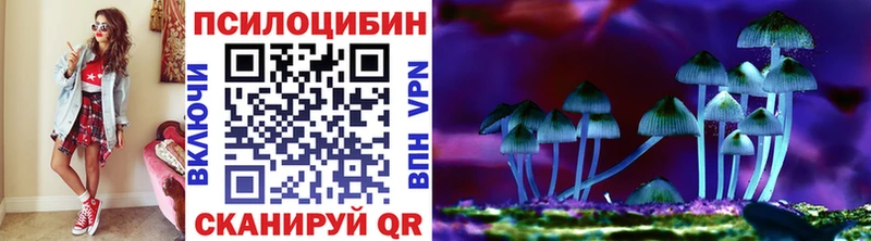 закладка  Богородск  Галлюциногенные грибы ЛСД 